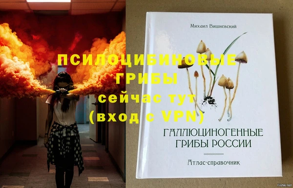 ПСИЛОЦИБИНОВЫЕ ГРИБЫ Володарск